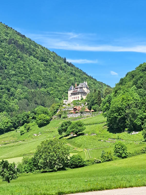 Maison - 202 m² - 5 pièces