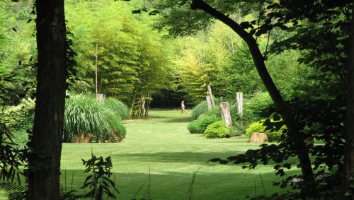 Le parc aux bambous