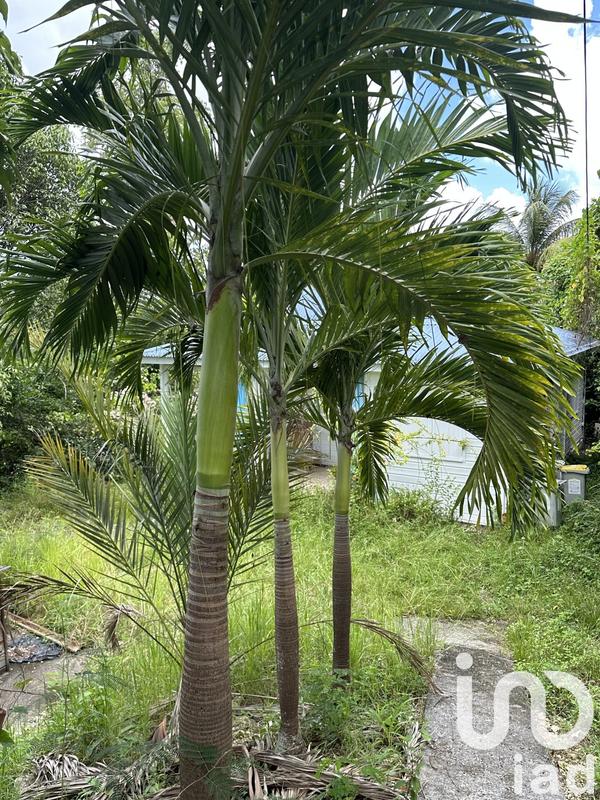 Maison - 51 m² - 4 pièces