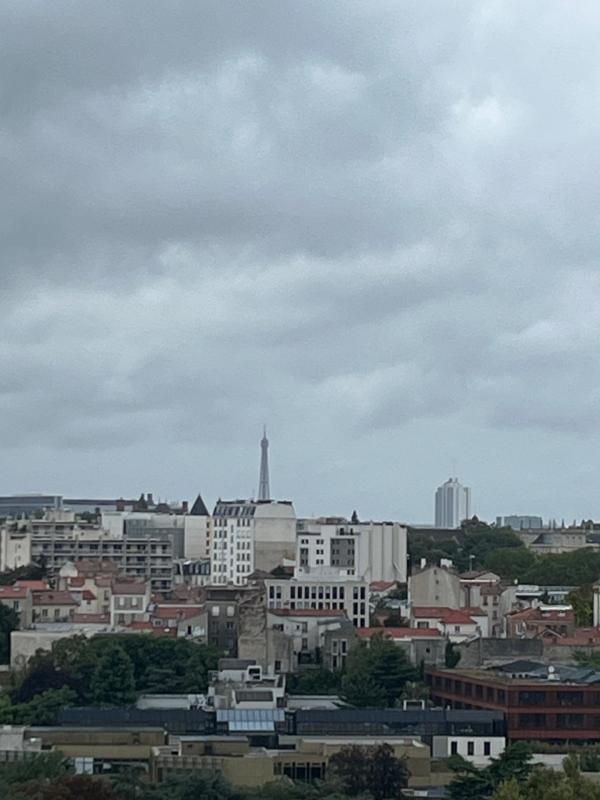 Appartement - 30 m² - 1 pièce