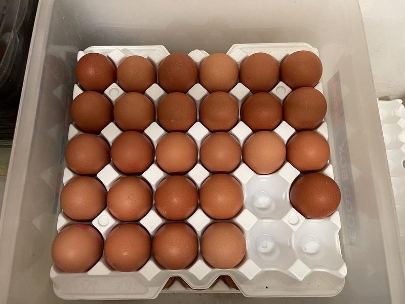 Fonds de commerce - Hôtellerie / Restauration - 60 m²