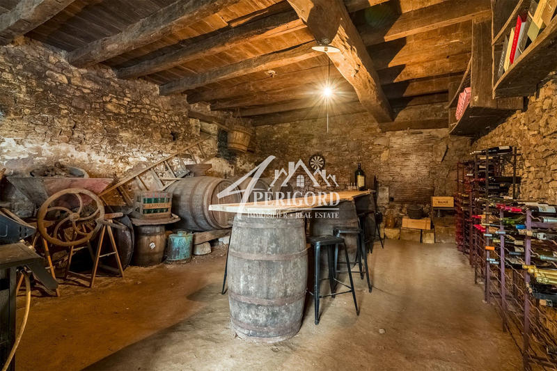 Maison - 435 m² - 11 pièces