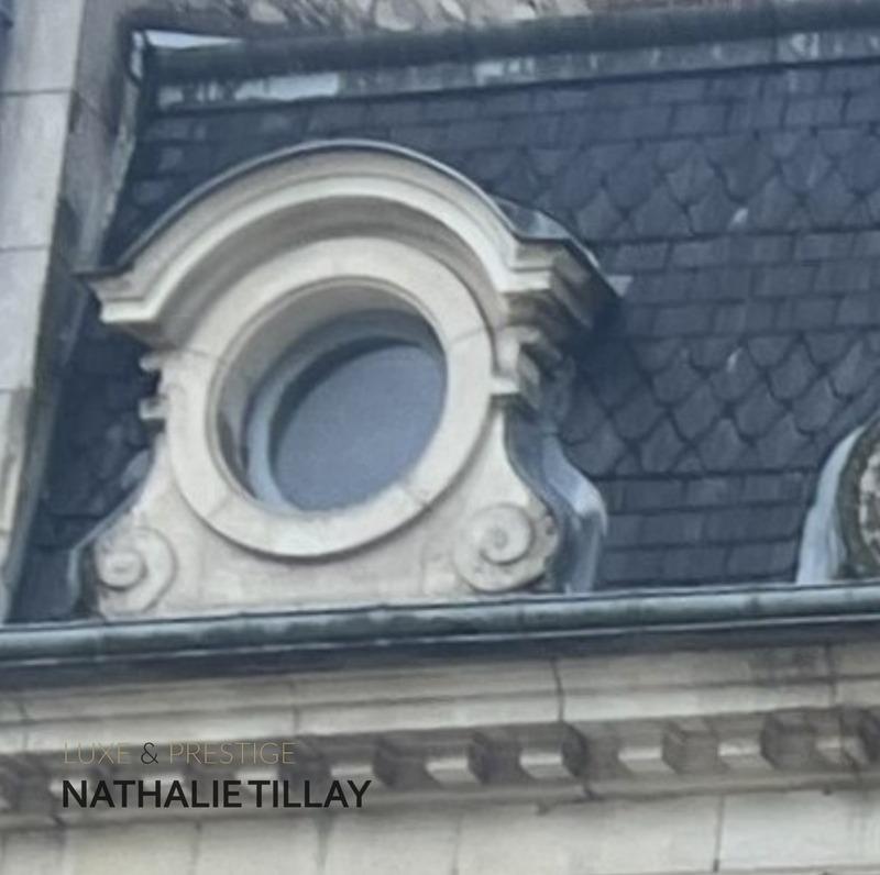 Hôtel particulier - 365 m² - 12 pièces