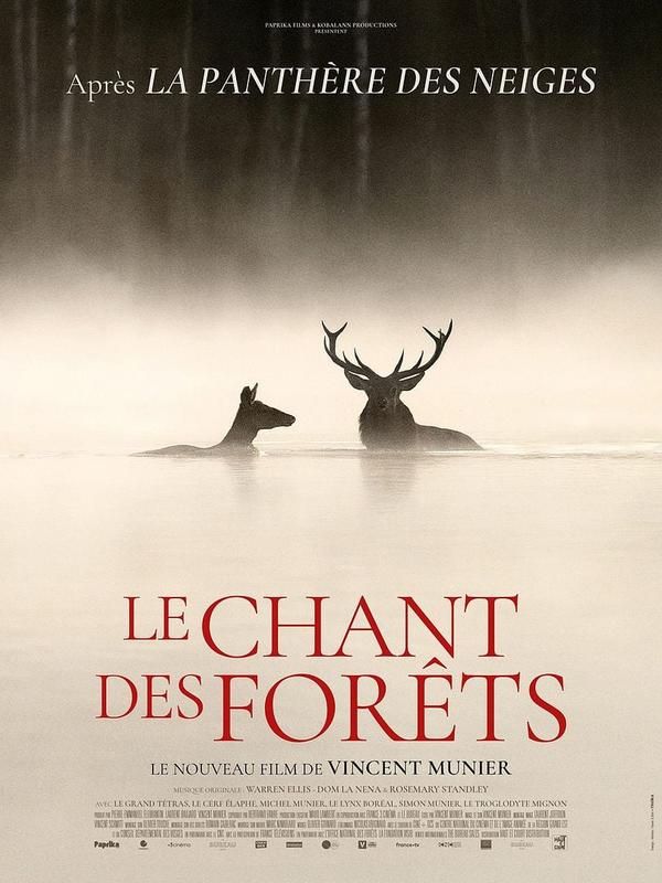 Ciné-rencontre - le chant des forêts