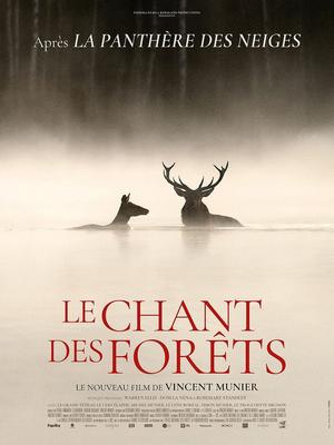 Ciné-rencontre - le chant des forêts