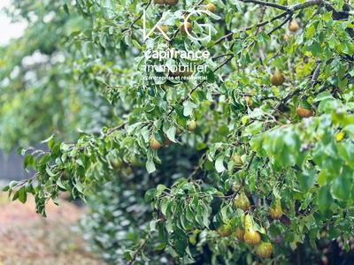 Terrain constructible - 607 m²