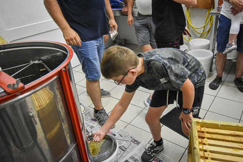 Visite guidée d'une miellerie