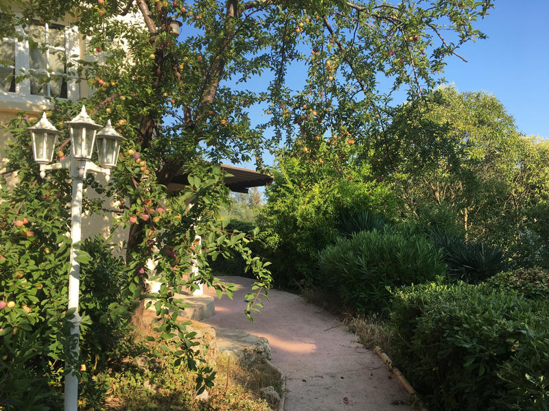 Appartement - 240 m² - 10 pièces