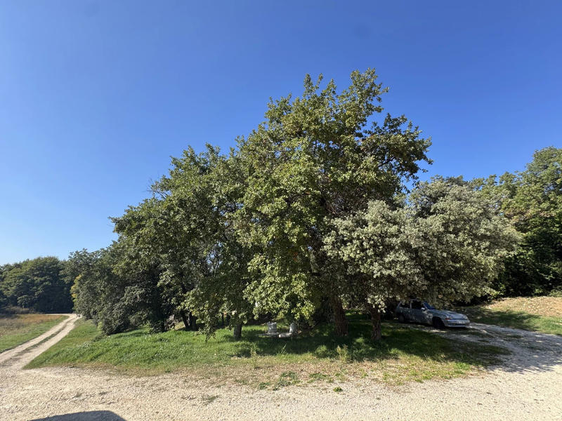 Maison - 158 m² - 6 pièces