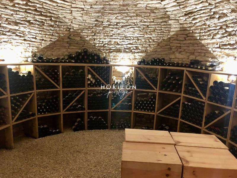 Château - 1 500 m² - 20 pièces