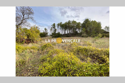 Terrain - 470 m²