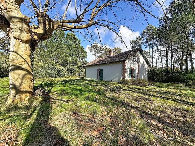 Maison - 96 m² - 4 pièces