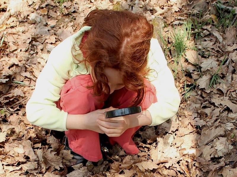 Atelier : les trésors de la forêt