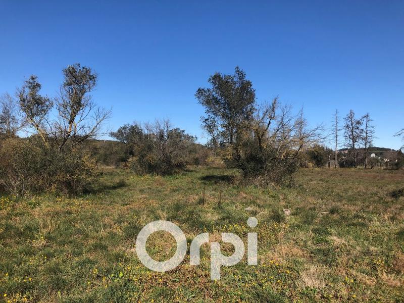 Terrain agricole - 5 800 m²