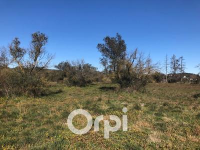 Terrain agricole - 5 800 m²