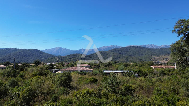 Viager - Maison - 110 m² - 4 pièces