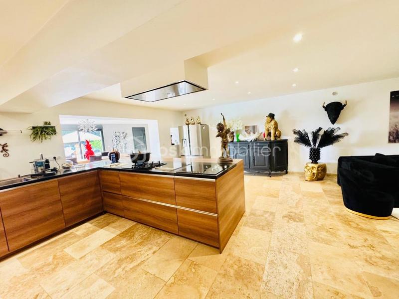 Propriété - 301 m² - 10 pièces