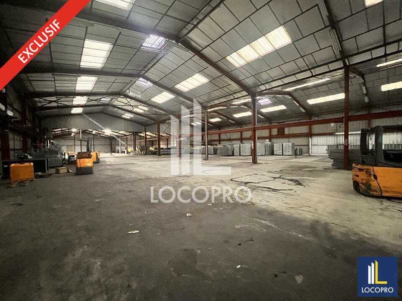 Local d'activité / Entrepôt - 3 700 m²
