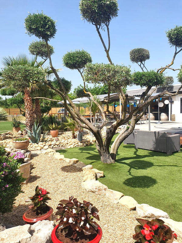 Propriété - 259 m² - 4 pièces