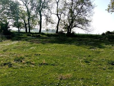 Terrain constructible - 950 m²