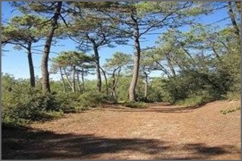 Local commercial - 120 m² - 2 pièces