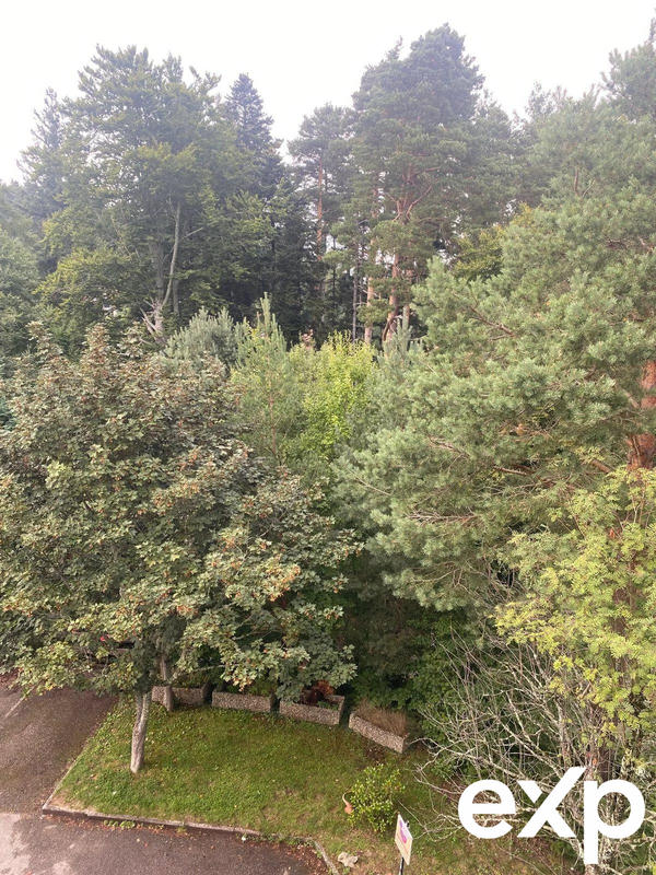 Appartement - 34 m² - 1 pièce