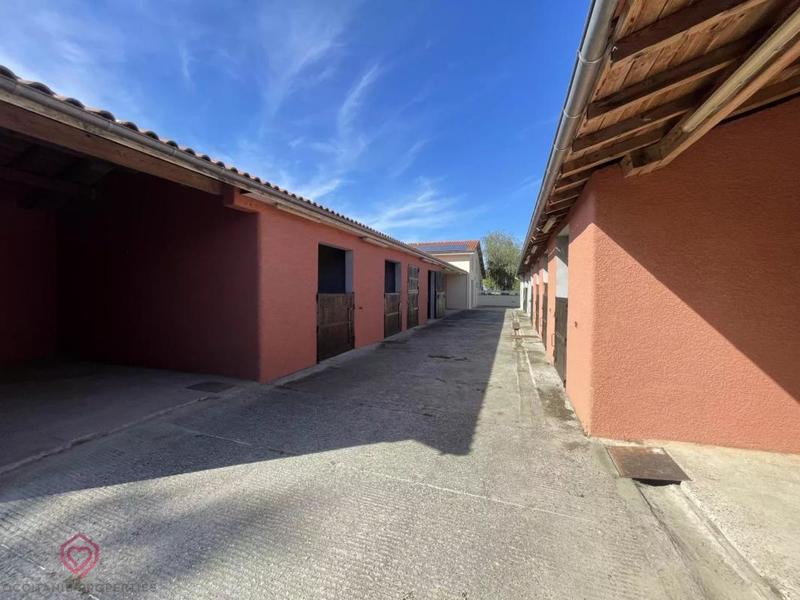 Maison de domaine équestre - 259 m² - 7 pièces