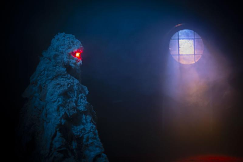 Le cabaret des oiseaux