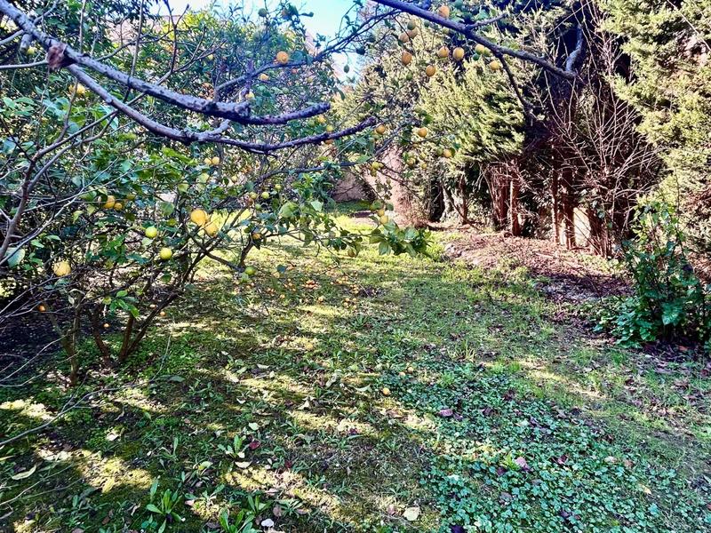 Villa - 215 m² - 6 pièces