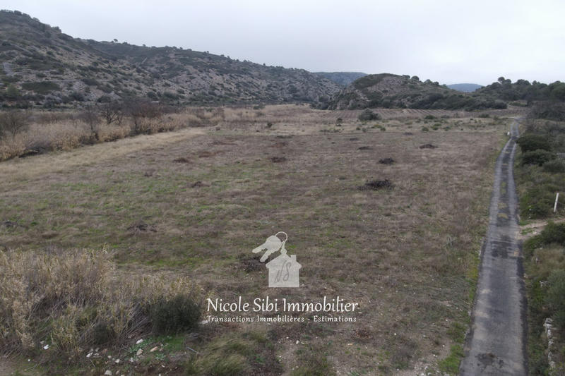 Terrain agricole - 9 980 m²