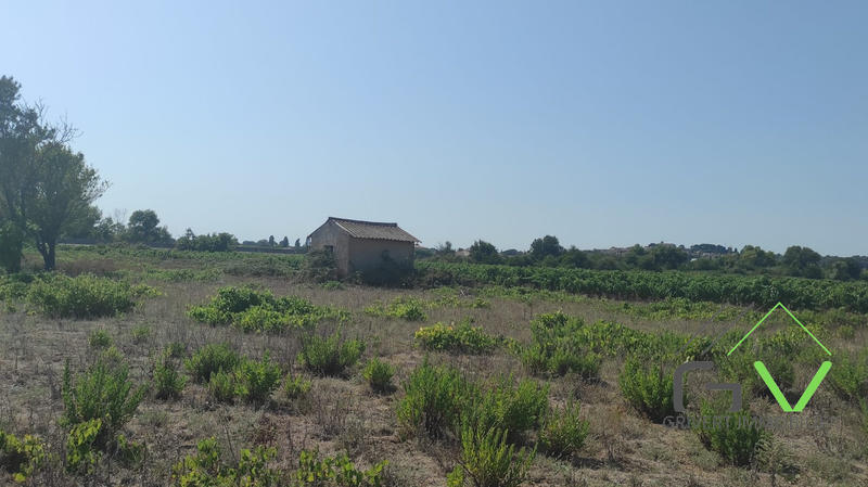 Maison - 9 m² - 1 pièce