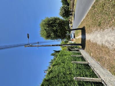 Terrain - 13 871 m²