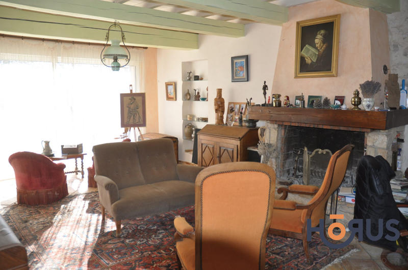 Viager - Maison - 400 m² - 14 pièces