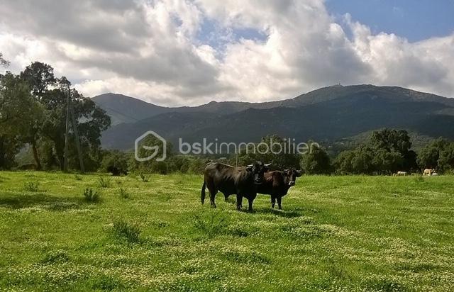 Terrain agricole - 56 090 m²