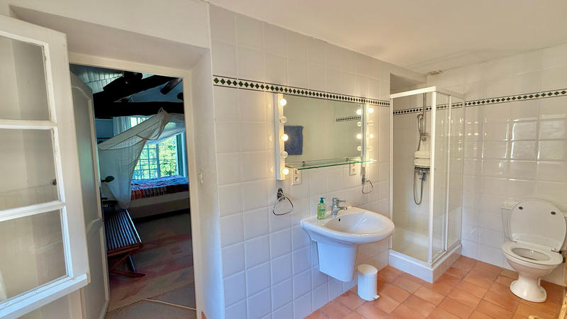 Mas - 250 m² - 10 pièces