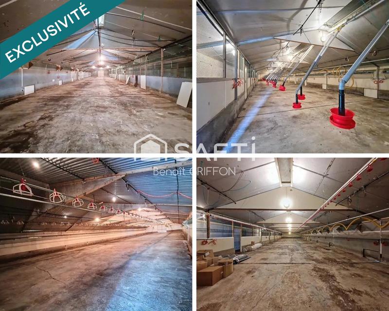 Local commercial - 4 290 m² - 9 pièces