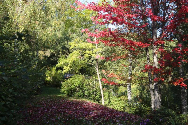 Maison de campagne - 127 m² - 3 pièces