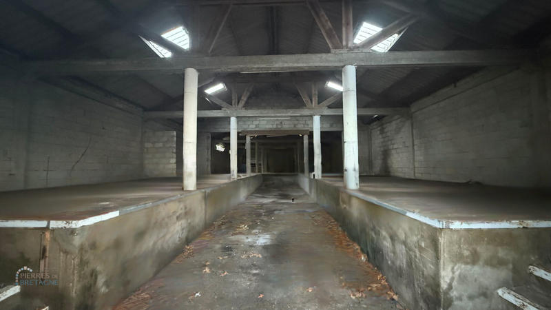Local d'activité / Entrepôt - 294 m²