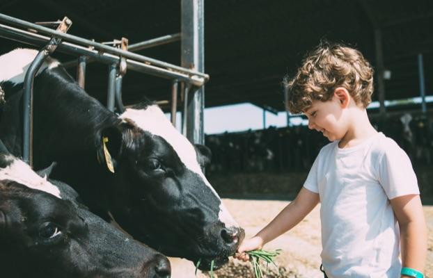 Gaec de la Pierre Cochée