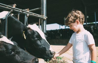 Gaec de la Pierre Cochée