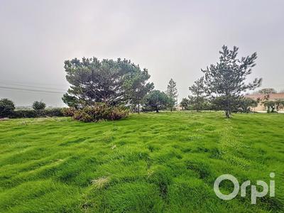 Terrain - 803 m²
