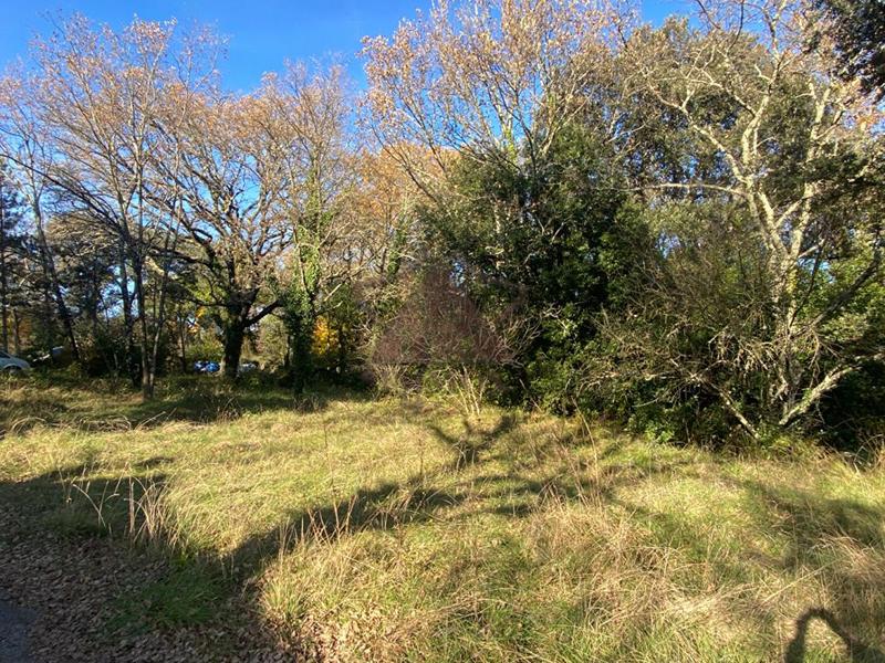 Terrain constructible - 1 040 m²