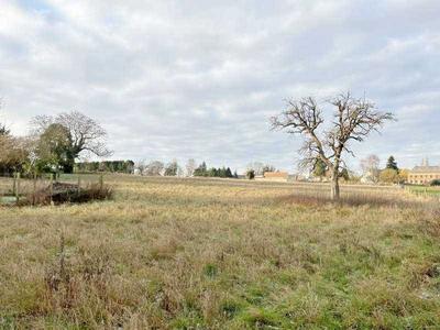 Terrain - 12 442 m²