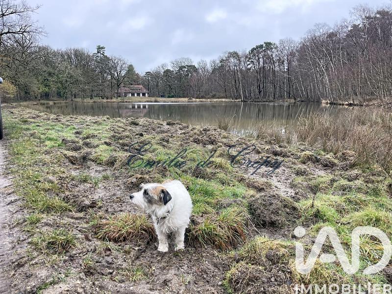 Maison - 280 m² - 10 pièces