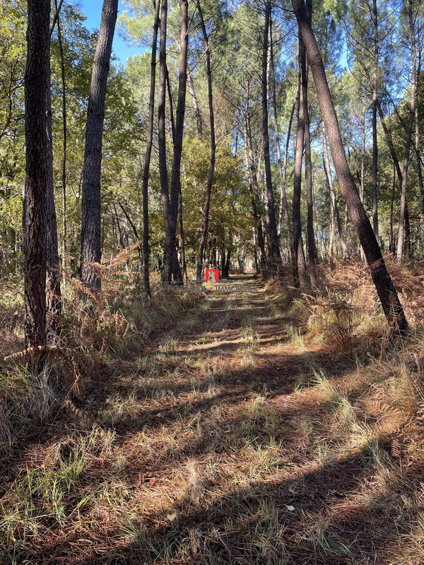 Terrain agricole - 154 100 m²