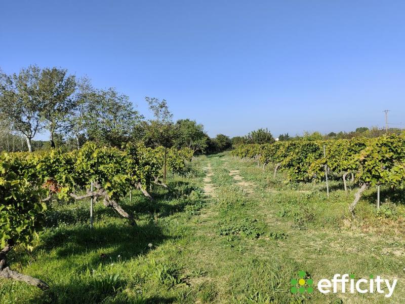 Maison - 240 m² - 5 pièces