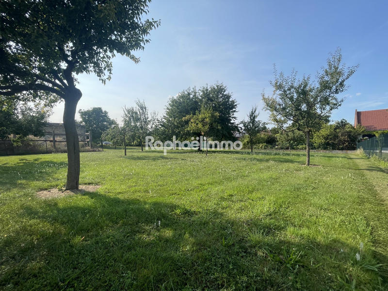 Maison - 700 m² - 6 pièces