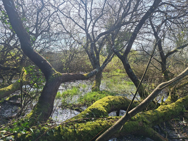 Terrain de loisirs - 775 m²