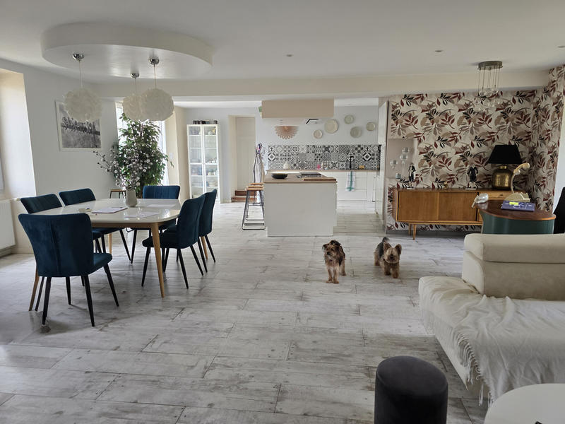 Maison - 365 m² - 11 pièces