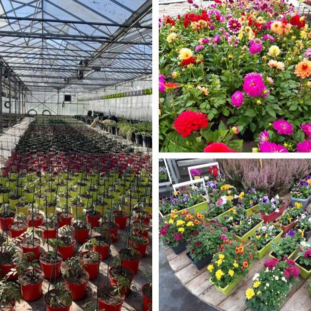 Aux Serres Hermitoises